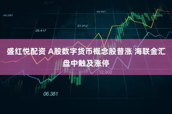 盛红悦配资 A股数字货币概念股普涨 海联金汇盘中触及涨停