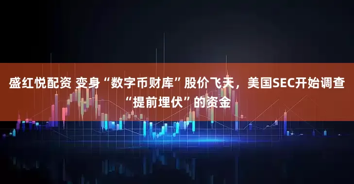 盛红悦配资 变身“数字币财库”股价飞天，美国SEC开始调查“提前埋伏”的资金